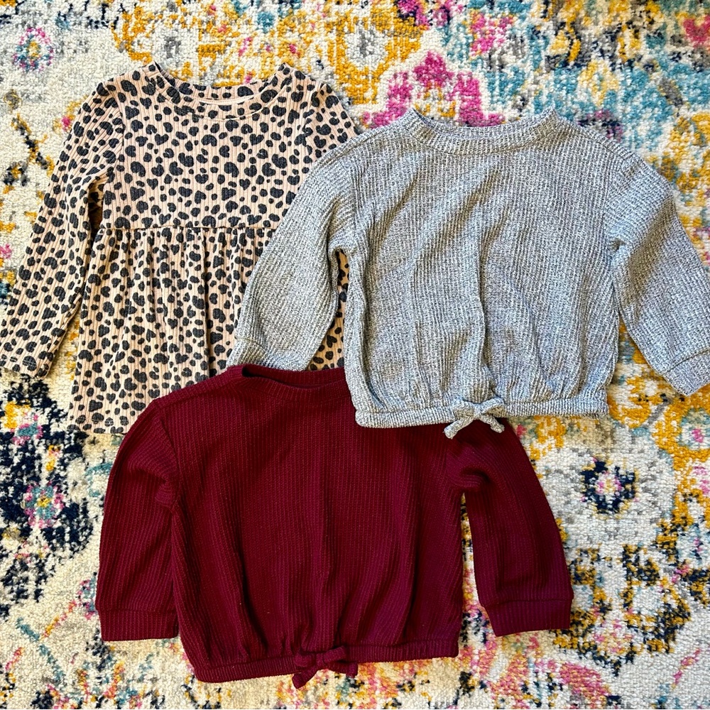 Toddler Girl's Long-Sleeve Tops Bundle